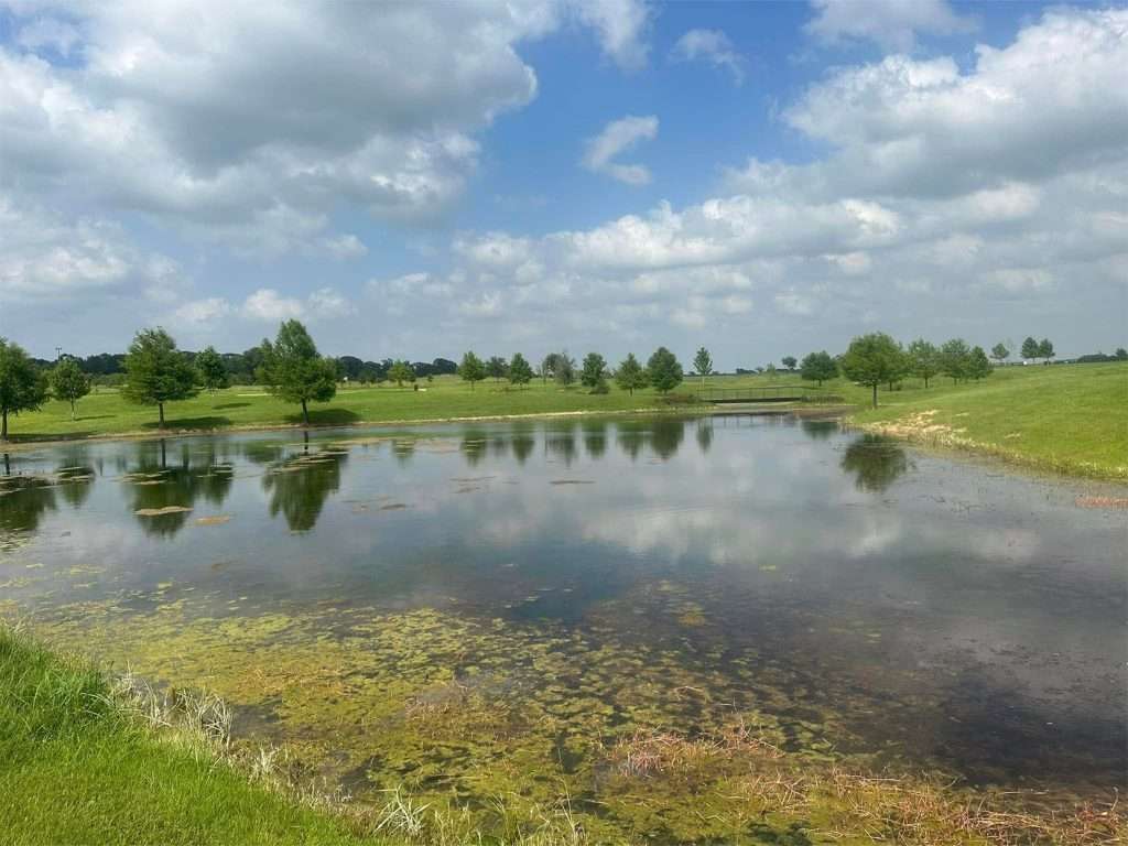Aquatic Weed & Algae Control - Texas Premier Lake Management Aquatic Weed & Algae Control - Texas Premier Lake Management