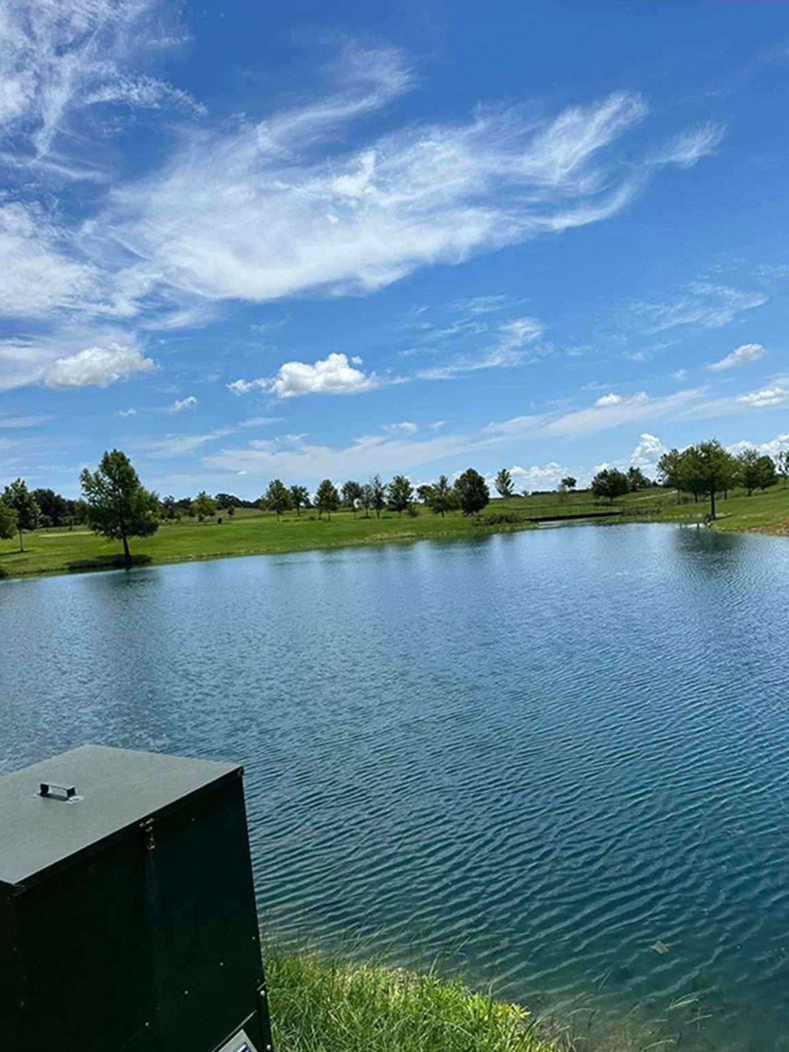 Aquatic Weed & Algae Control - Texas Premier Lake Management Aquatic Weed & Algae Control - Texas Premier Lake Management
