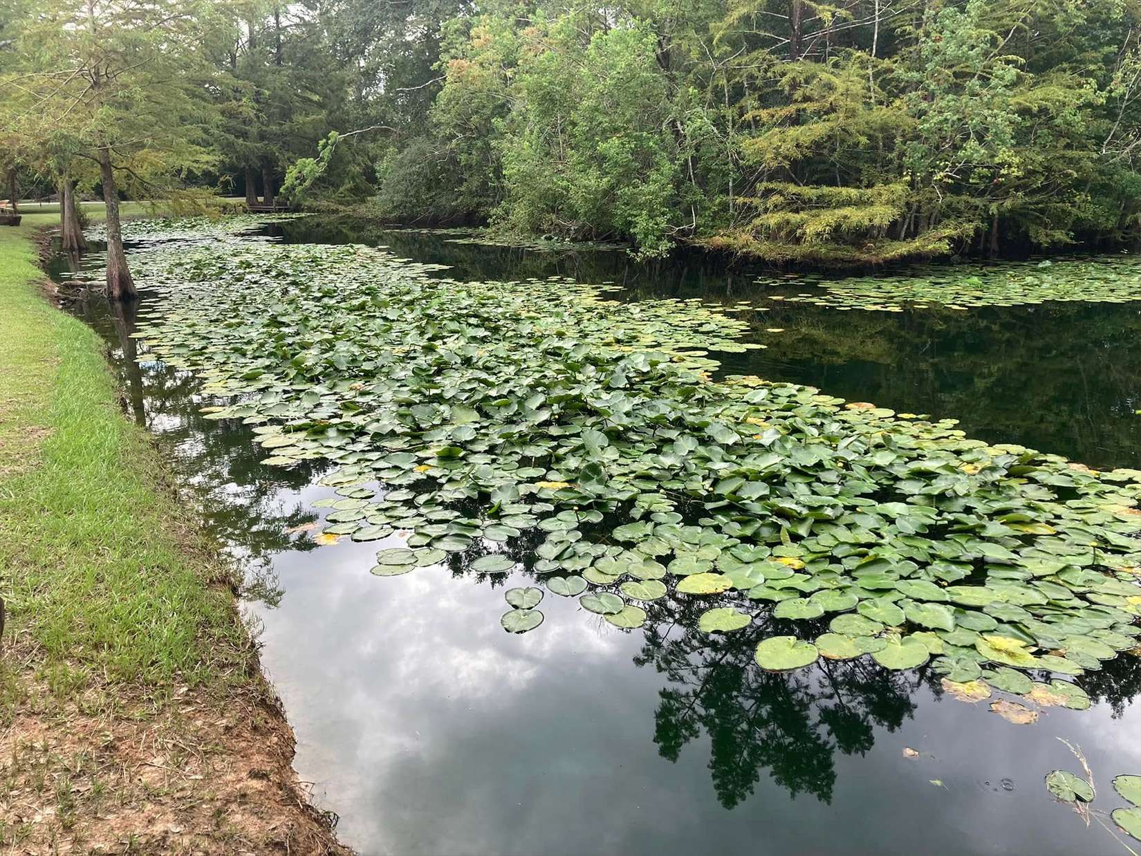 Pond Restoration - Recreational Ponds - Texas Premier Lake Management Pond Restoration - Recreational Ponds - Texas Premier Lake Management