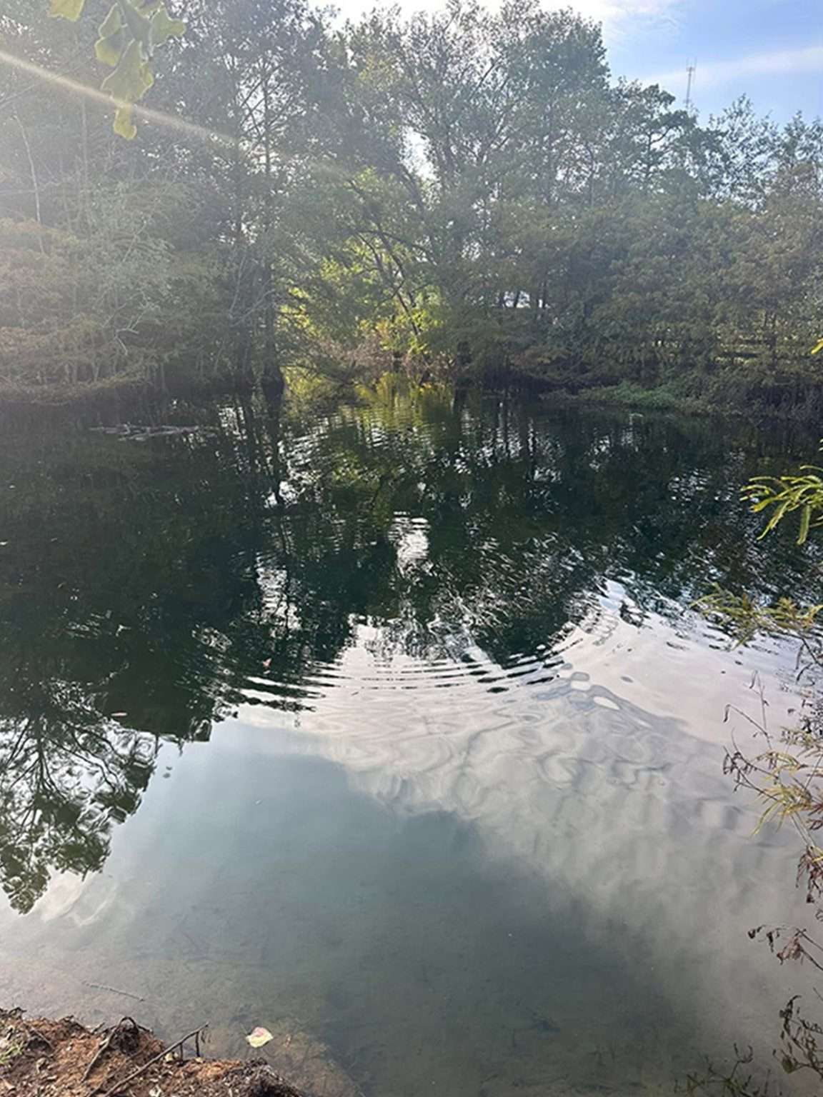 Pond Restoration - Recreational Ponds - Texas Premier Lake Management Pond Restoration - Recreational Ponds - Texas Premier Lake Management